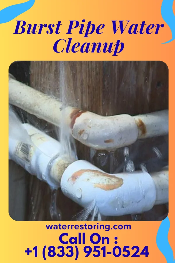 Burst Pipe Water Cleanup in Richland, TX