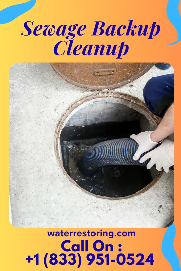 Sewage Backup Cleanup in Richland, TX